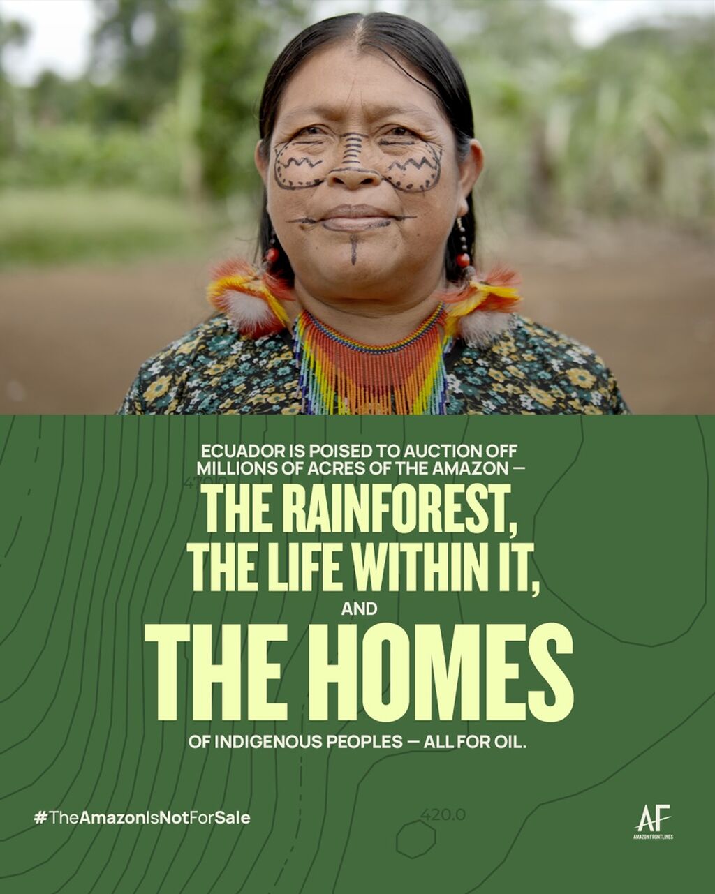 The Amazon is NOT for Sale