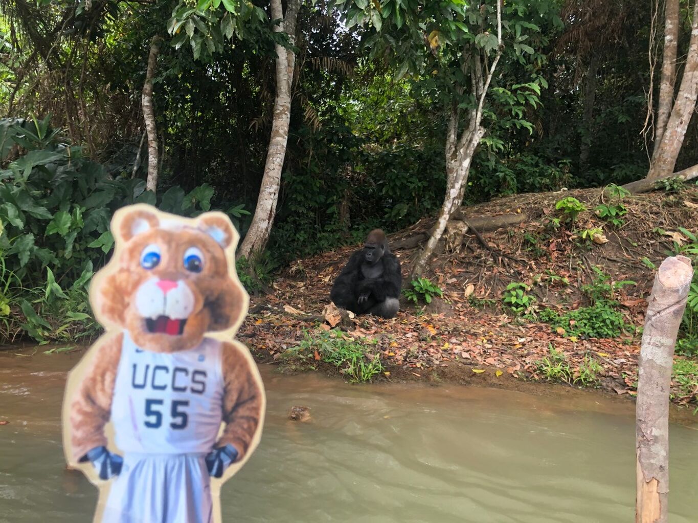 Take Flat Clyde on an Adventure!