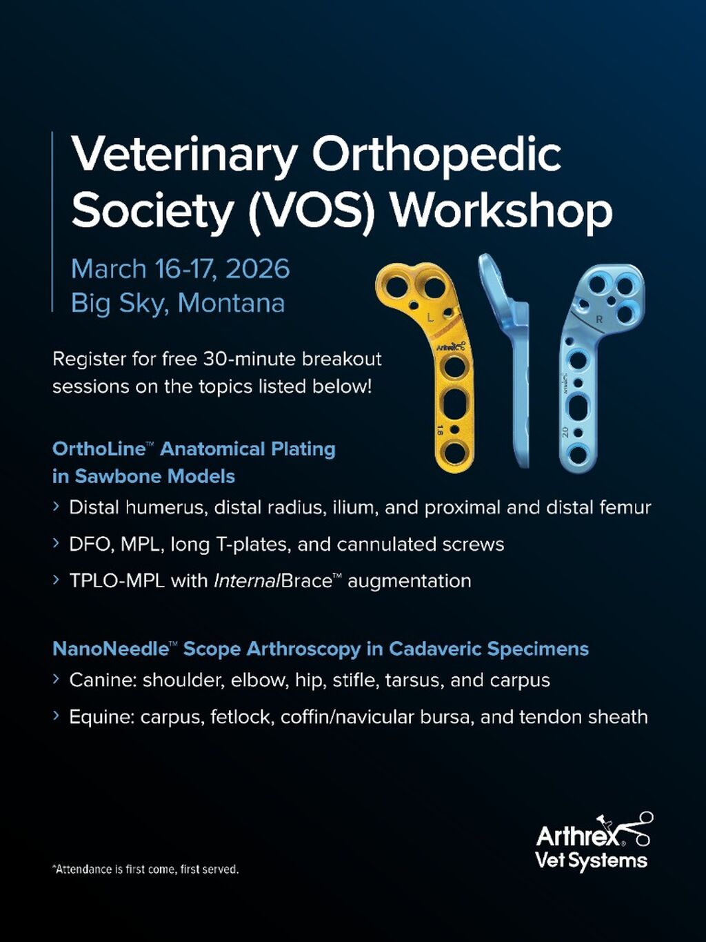 VOS Workshop 2026