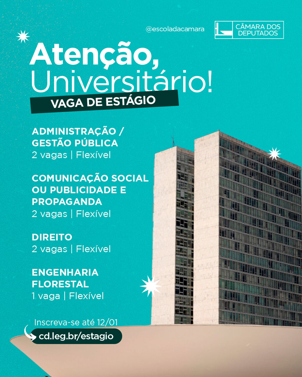 Est&aacute;gio na C&acirc;mara