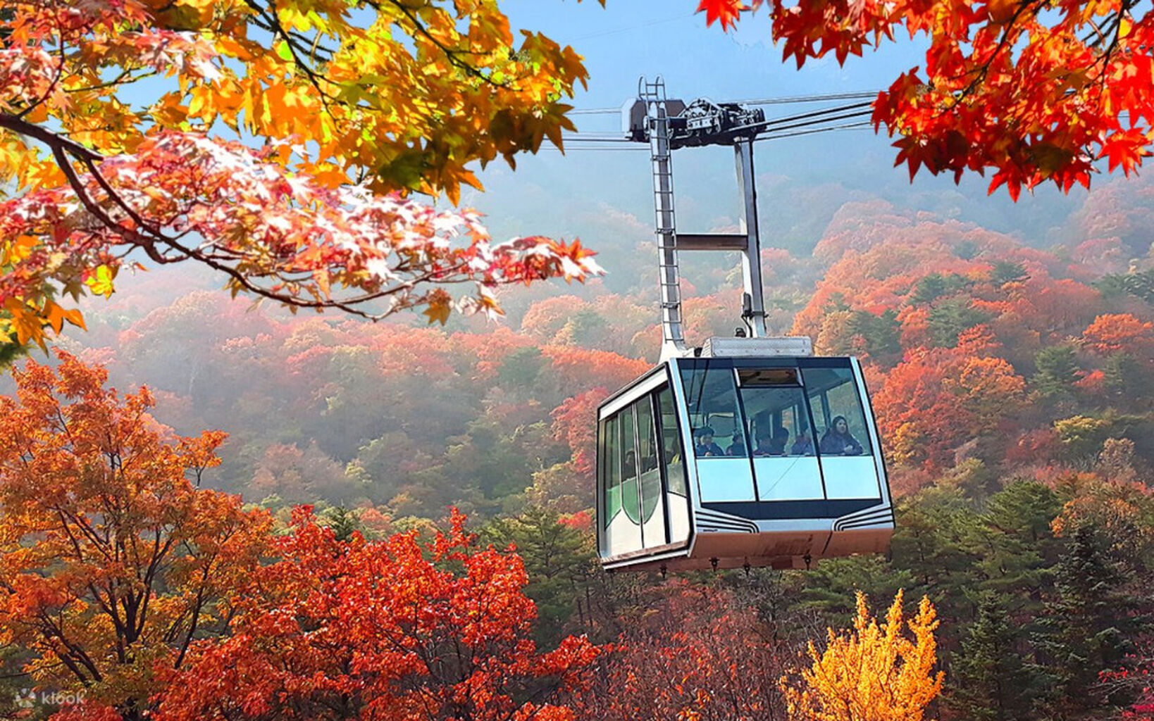 Klook - Seoraksan / Naejangsan Autumn Foliage Day Tour from Seoul