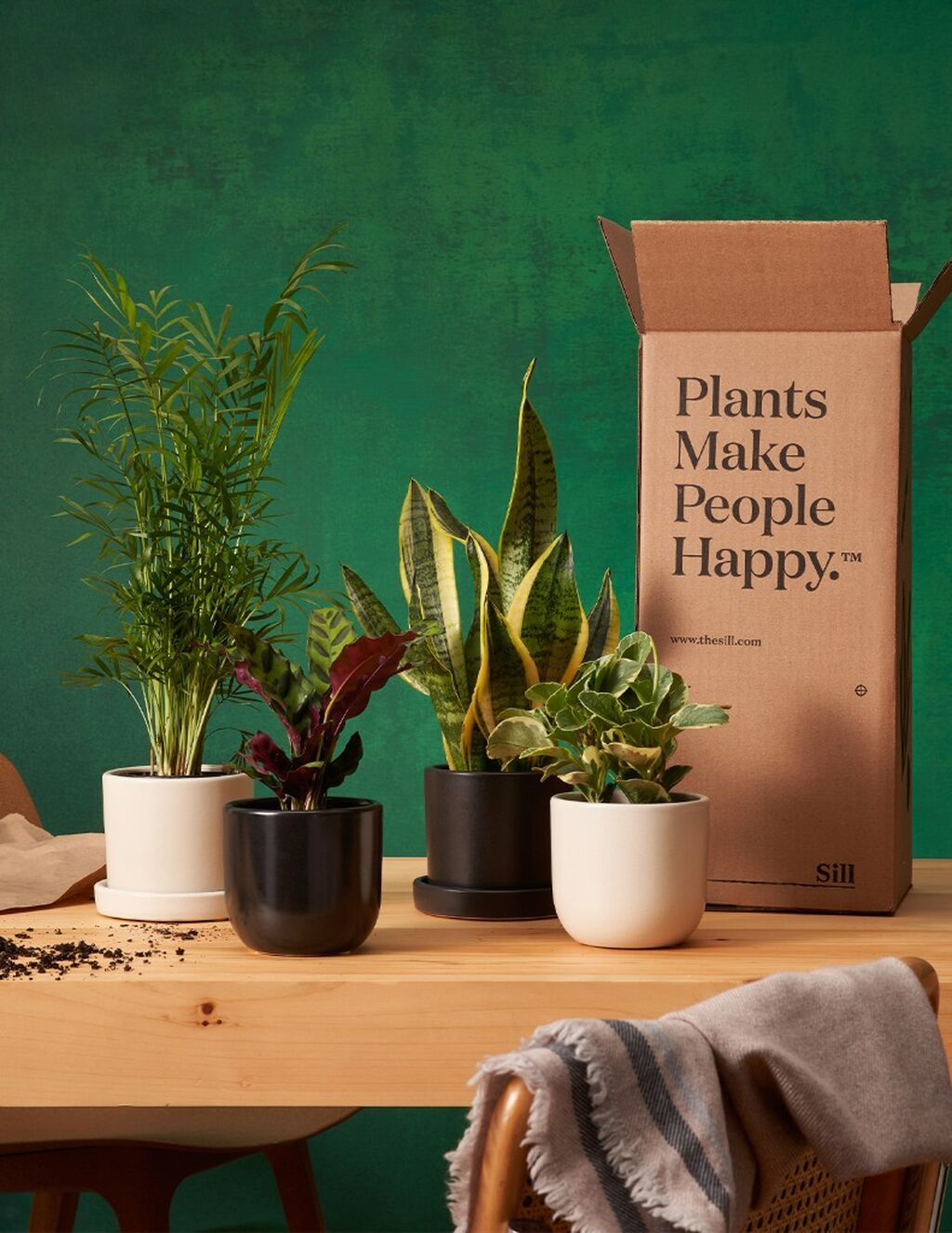 Plant Of The Month Club💌