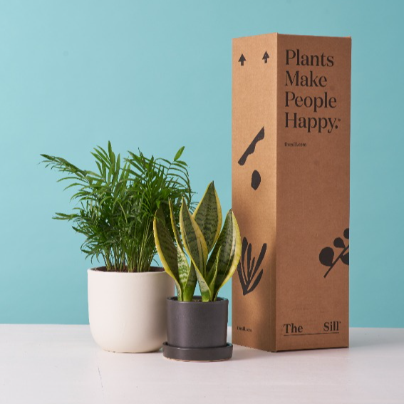 Contact Us: Order Help, Plant Care🤳