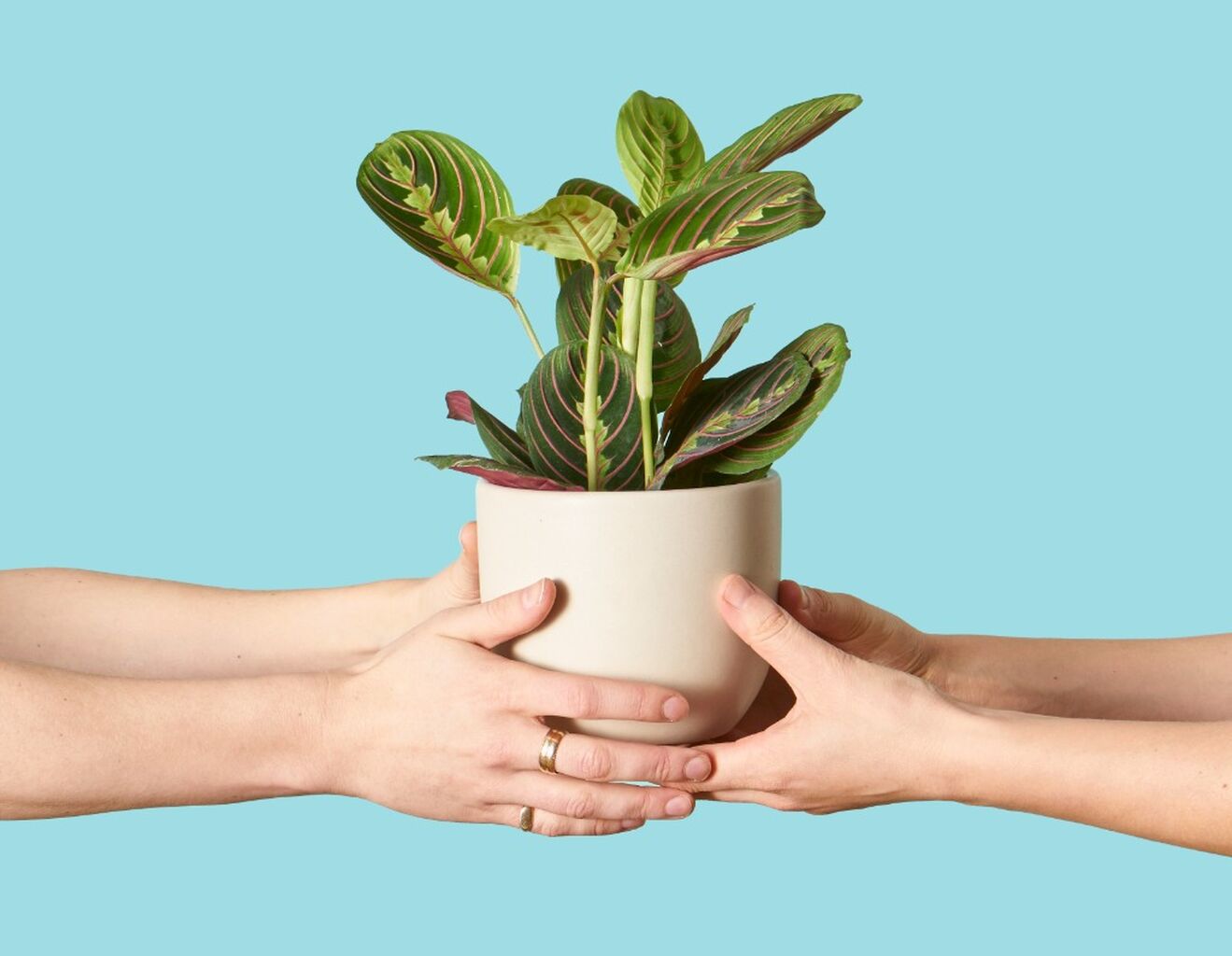 Corporate Gifting🎁