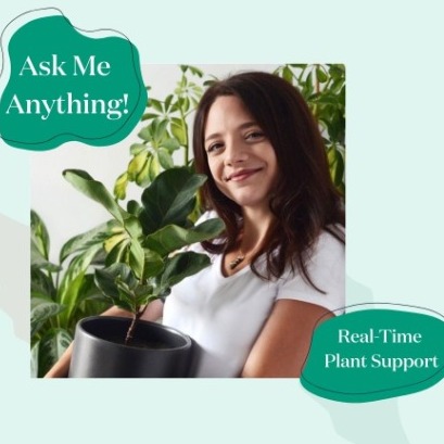 Ask an Expert: Live Plant Q&A