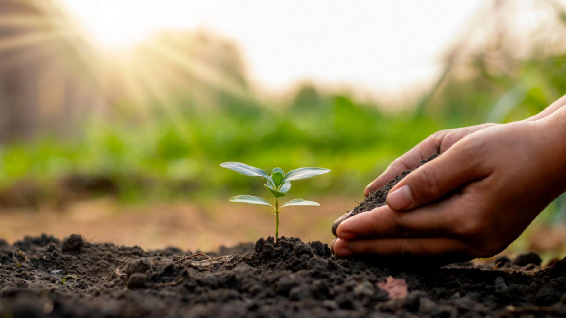 Past event - Sun Apr 19th 2026 - Sip & Seed with Levo International