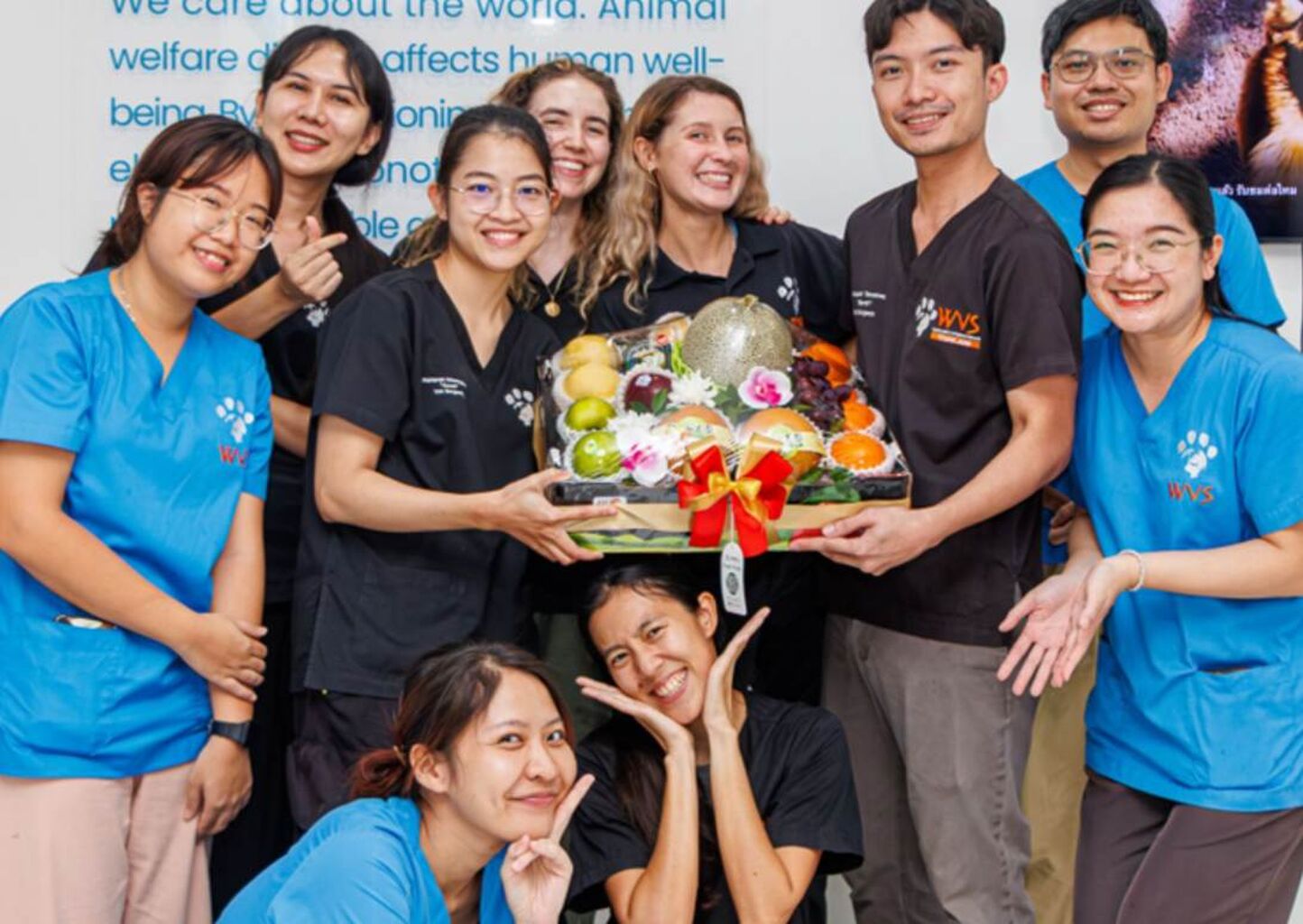 Inside the WVS Taskforce Nursing Programme: Poppy&rsquo;s experience 