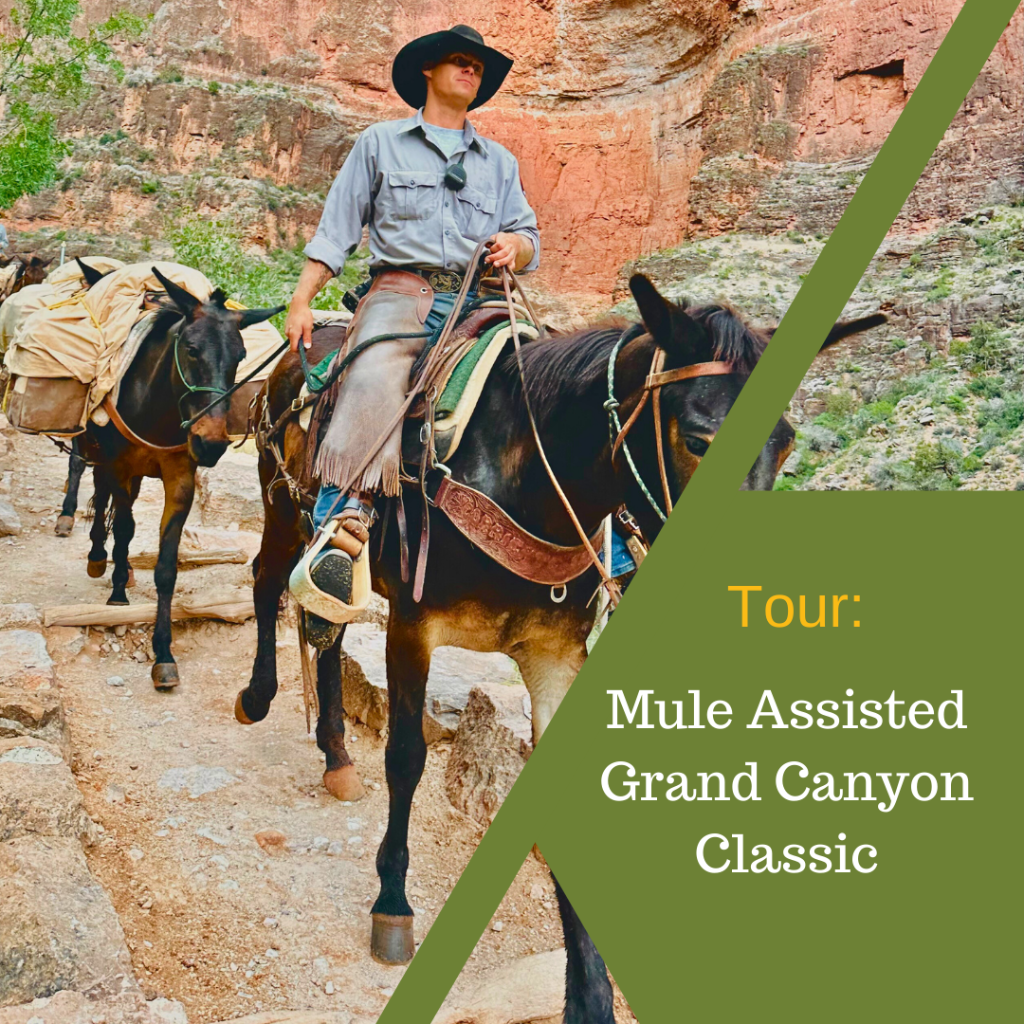 Mule Assisted Grand Canyon Classic