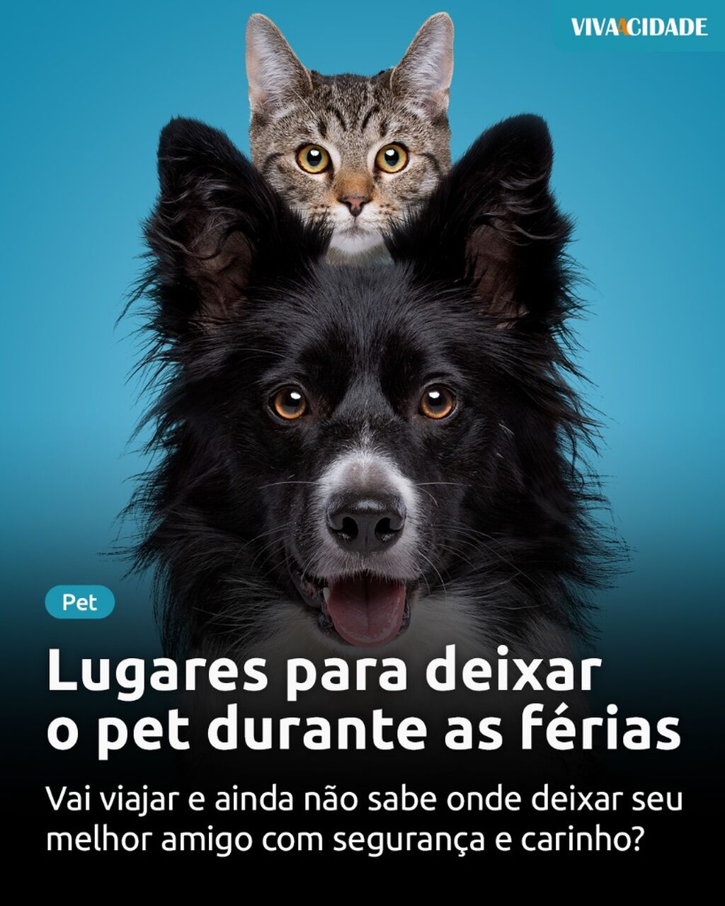 Lugares para deixar o pet durante as f&eacute;rias