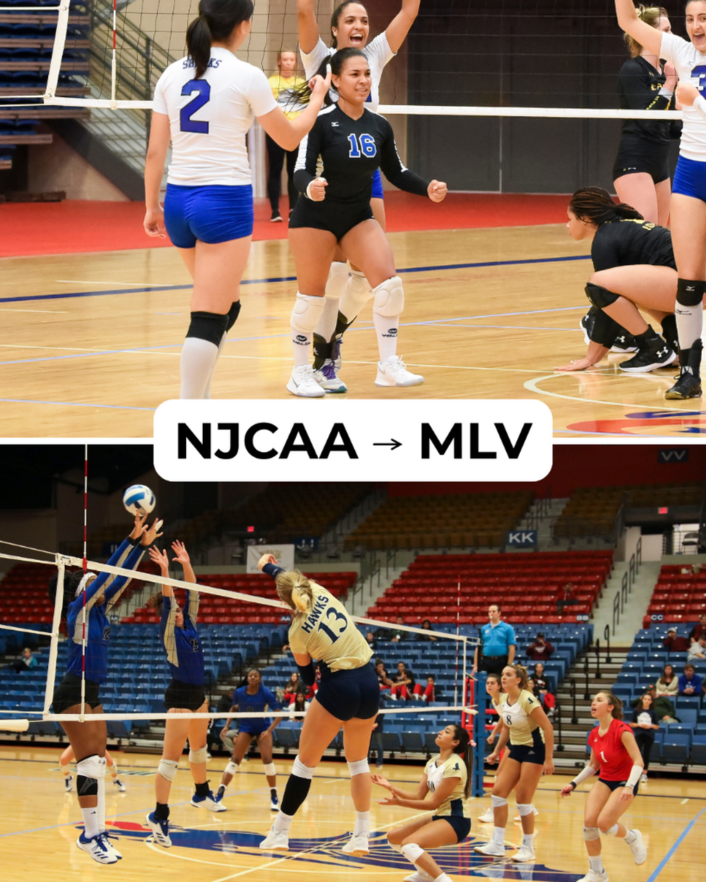 Pair of NJCAA Alumni Competing in 2026 Major League Volleyball Season