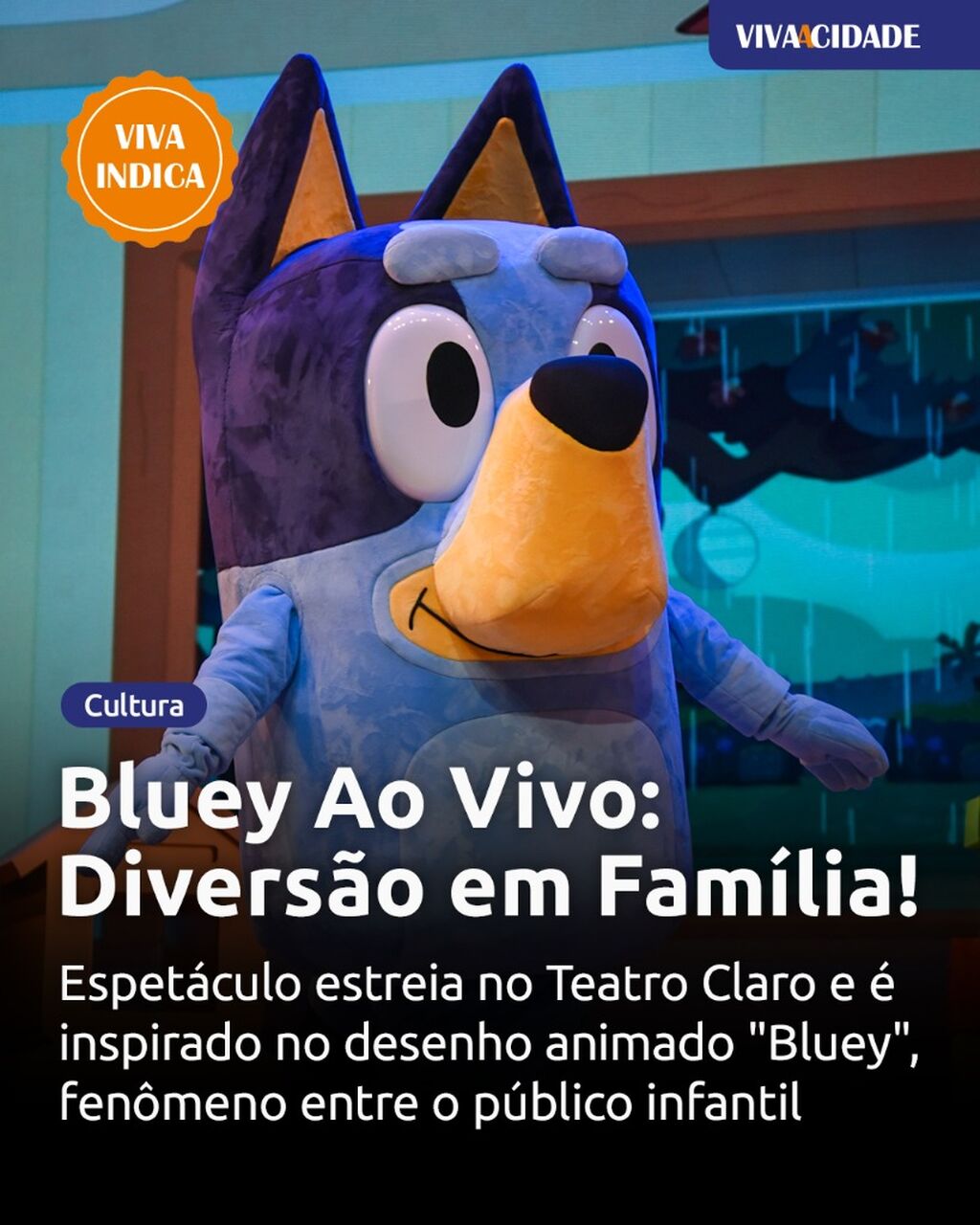 Bluey Ao Vivo: Divers&atilde;o em Fam&iacute;lia!