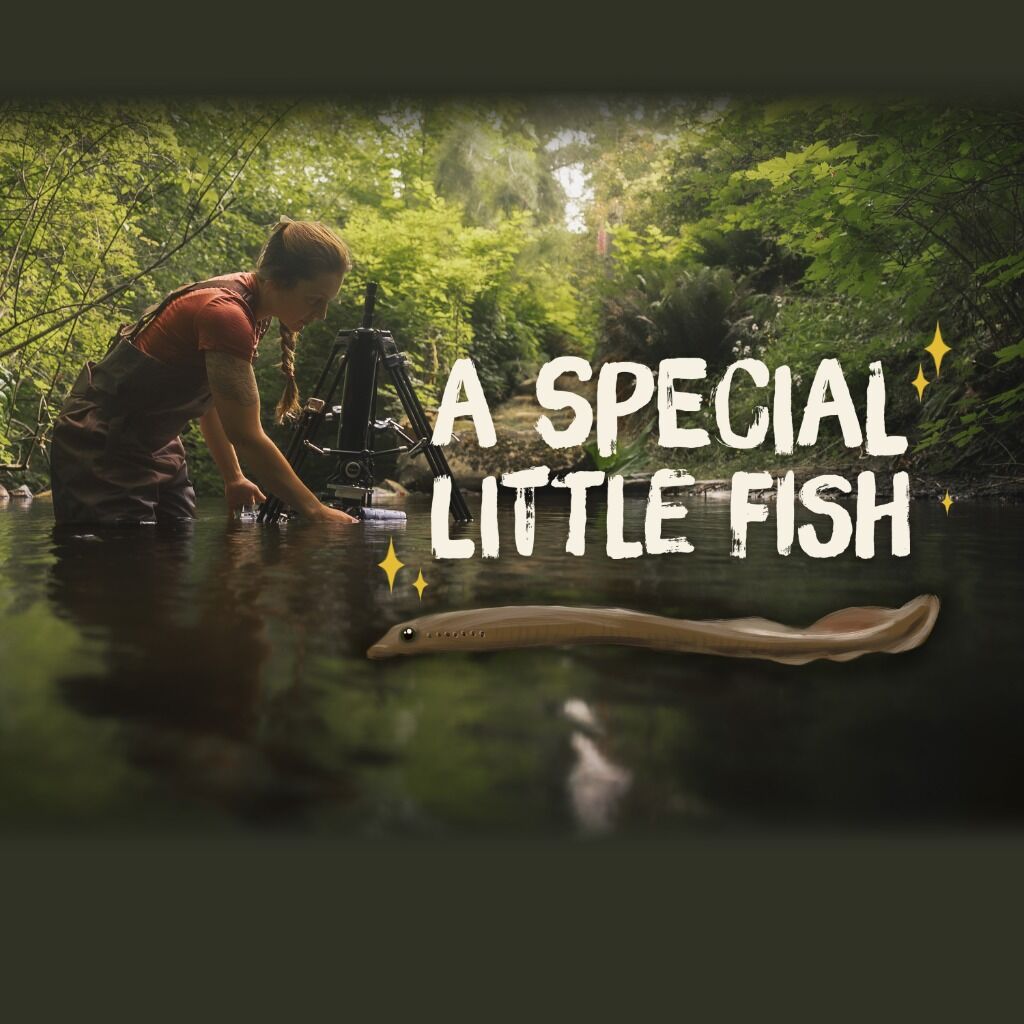 A Special Little Fish (YouTube)