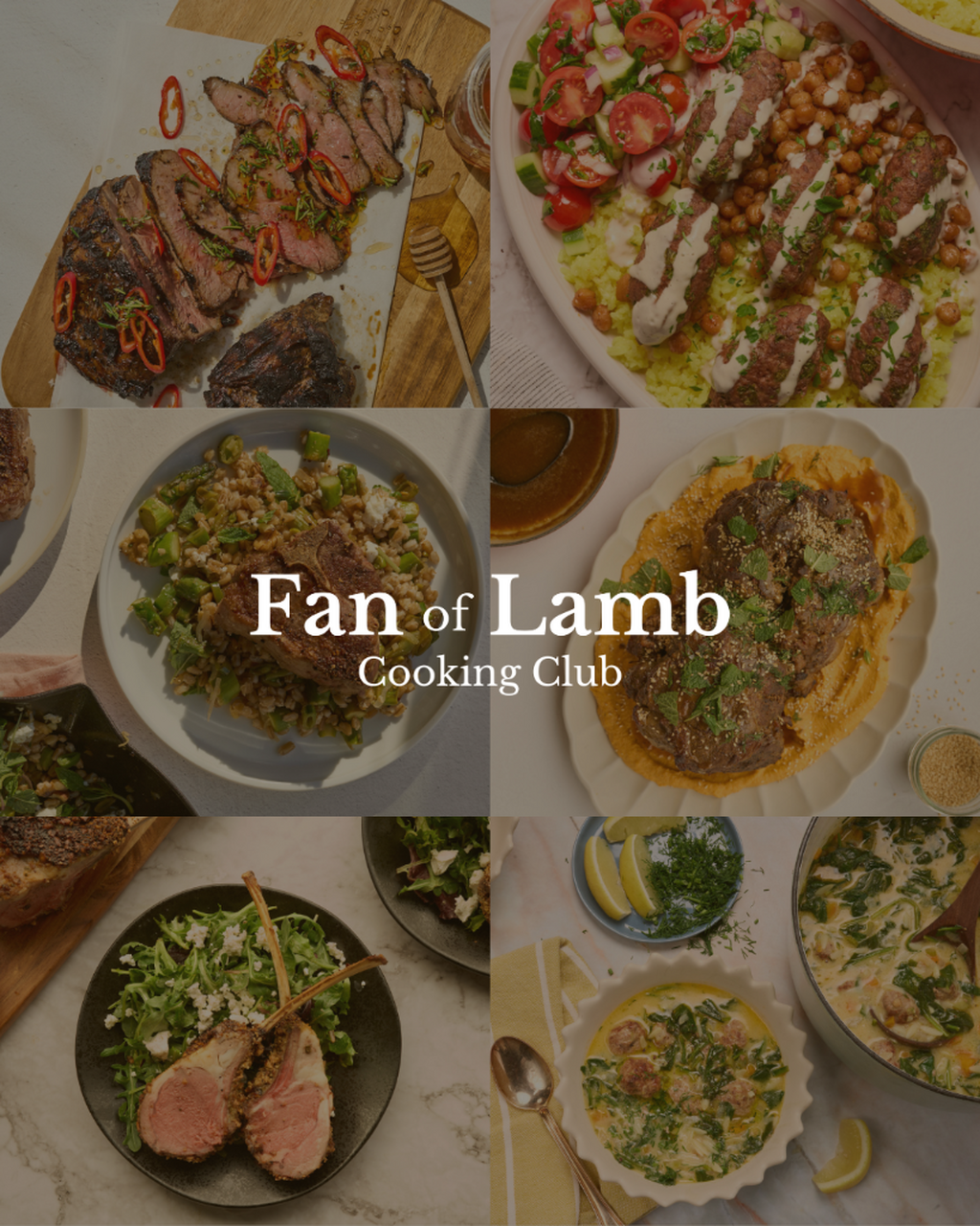 Join Fan of Lamb Classes on Youtube!