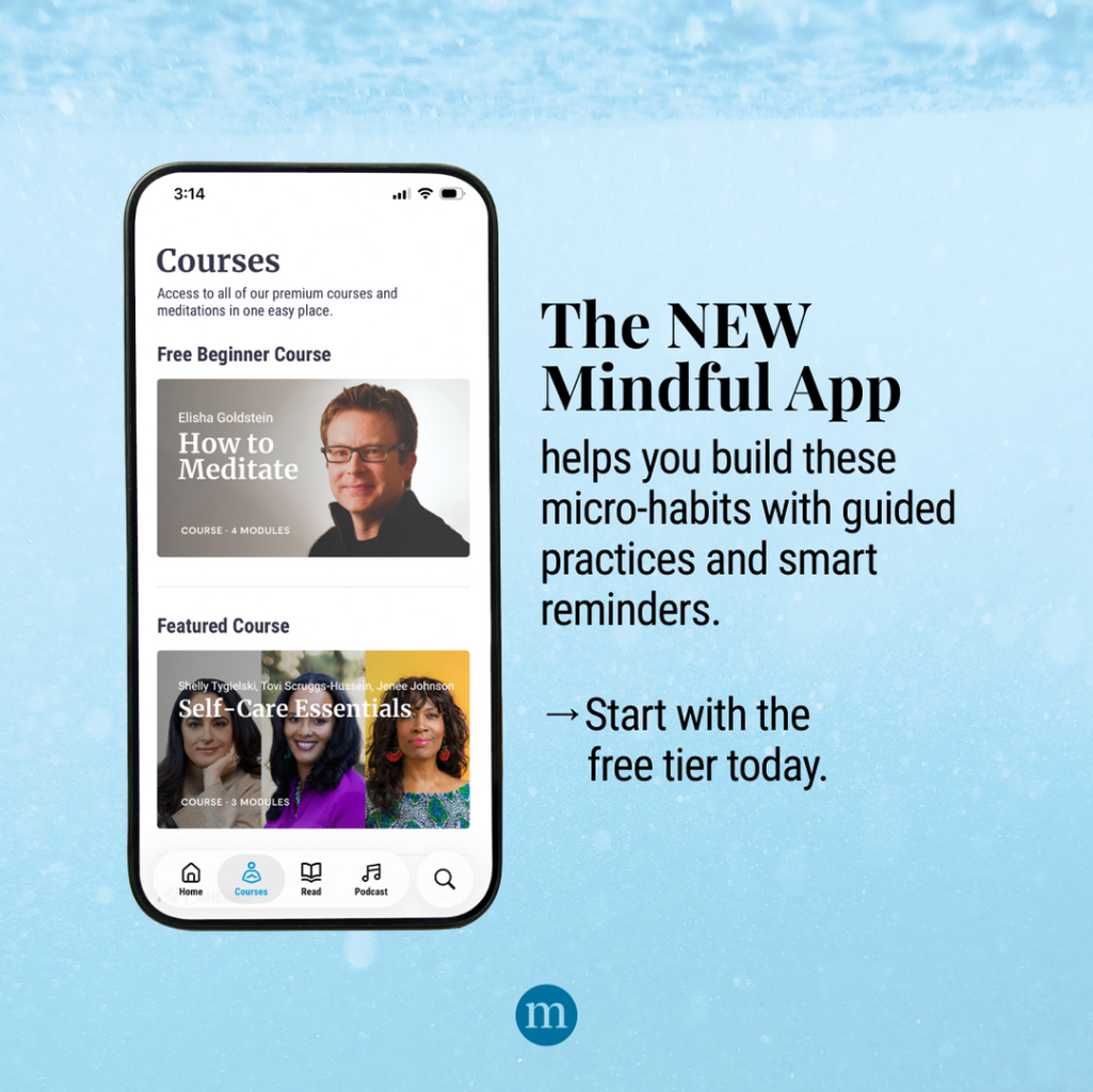 Mindful Subscription