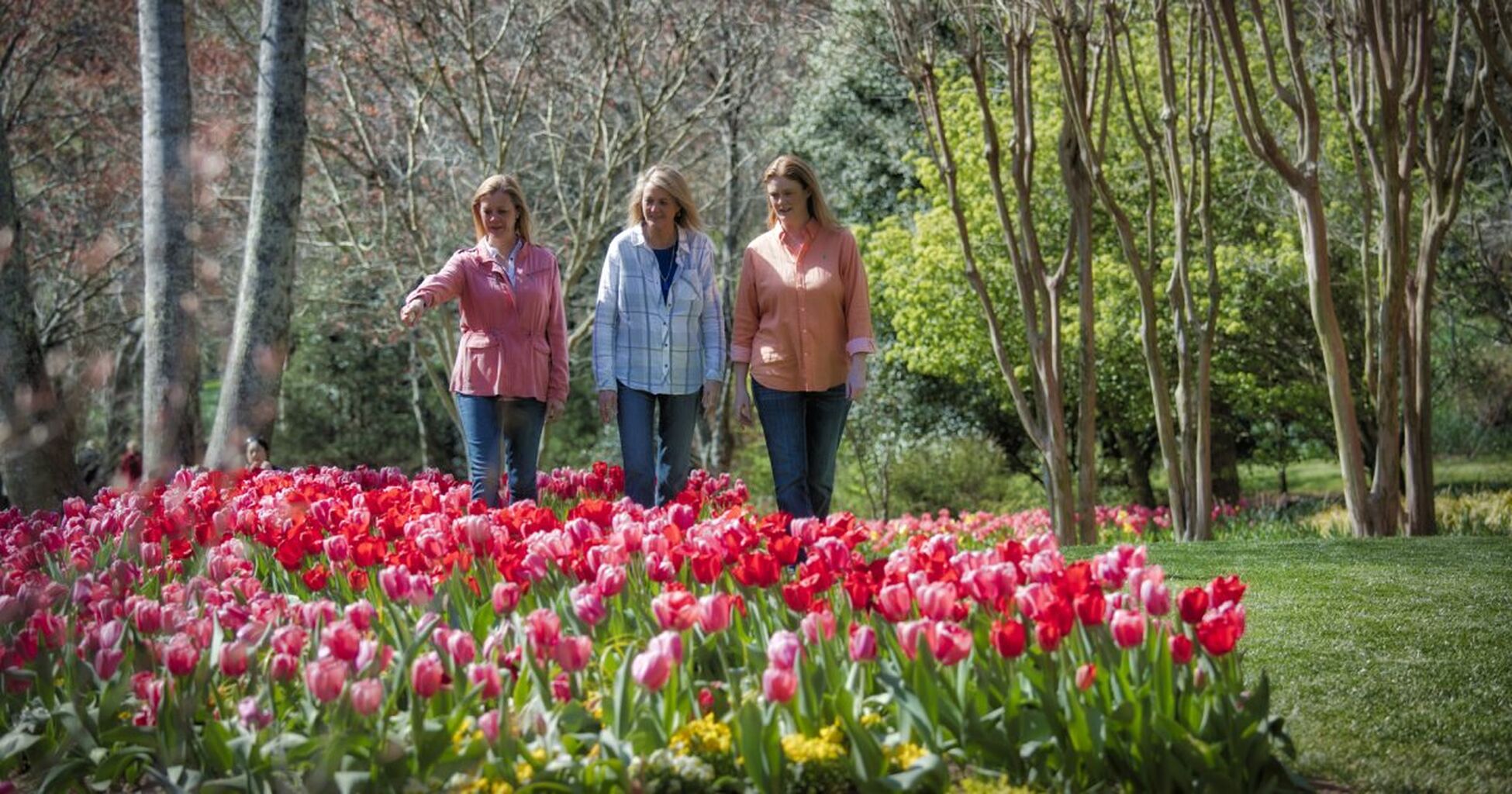 Special Places & Attractions Nearby Blue Ridge