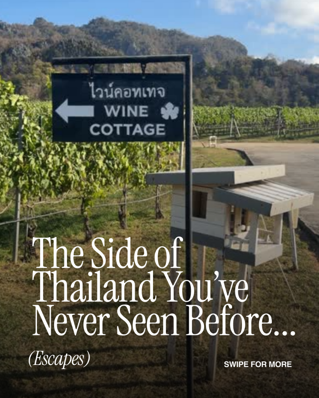 Wineries, wildlife and organic farms in Khao Yai, Thailand