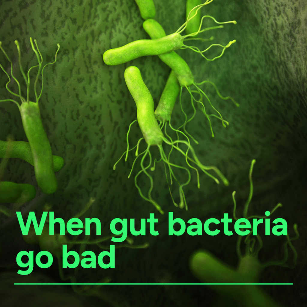 H. pylori Breath Test