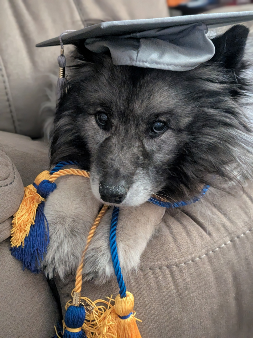 Learn about the Fall 2025 Silver Grads!