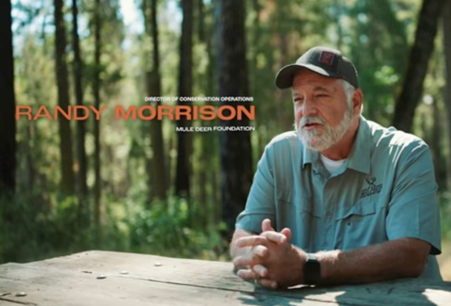 Eldorado National Forest - Wildfire Restoration and Forest Health
