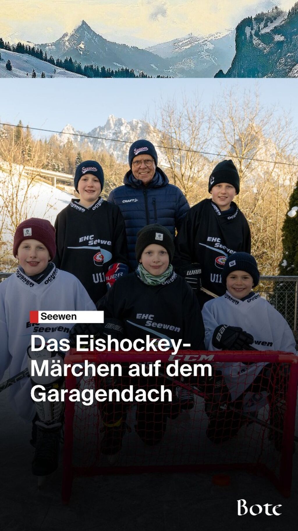Das Eishockey-M&auml;rchen auf dem Garagendach