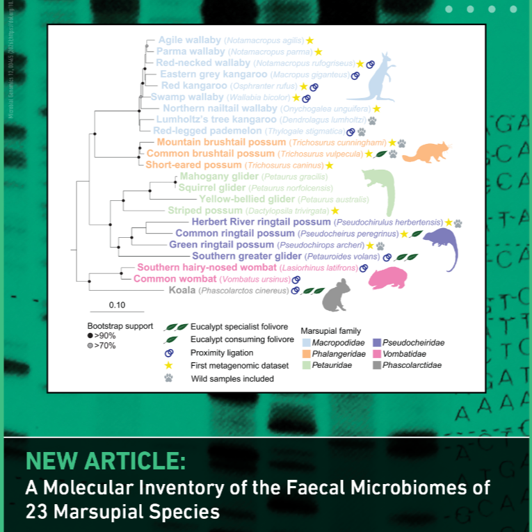 What makes up a marsupial microbiome?