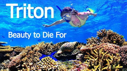 📺Triton Beauty to Die For