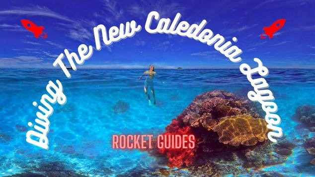 📺Dive the New Caledonia Lagoon