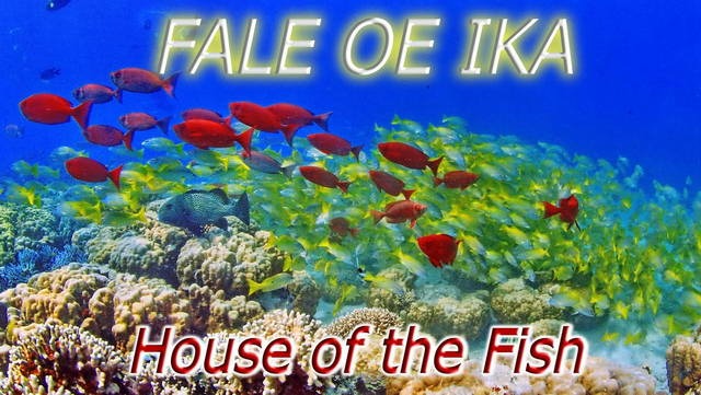 📺House of the Fish