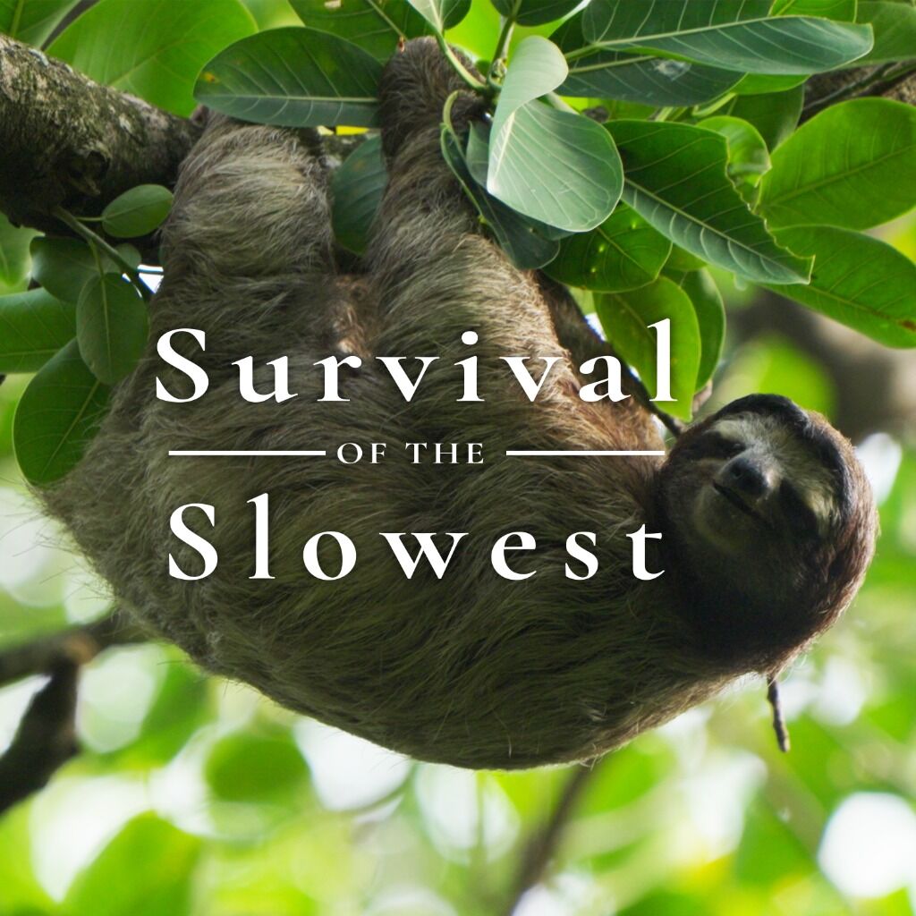 Survival of the Slowest (CBC Gem)