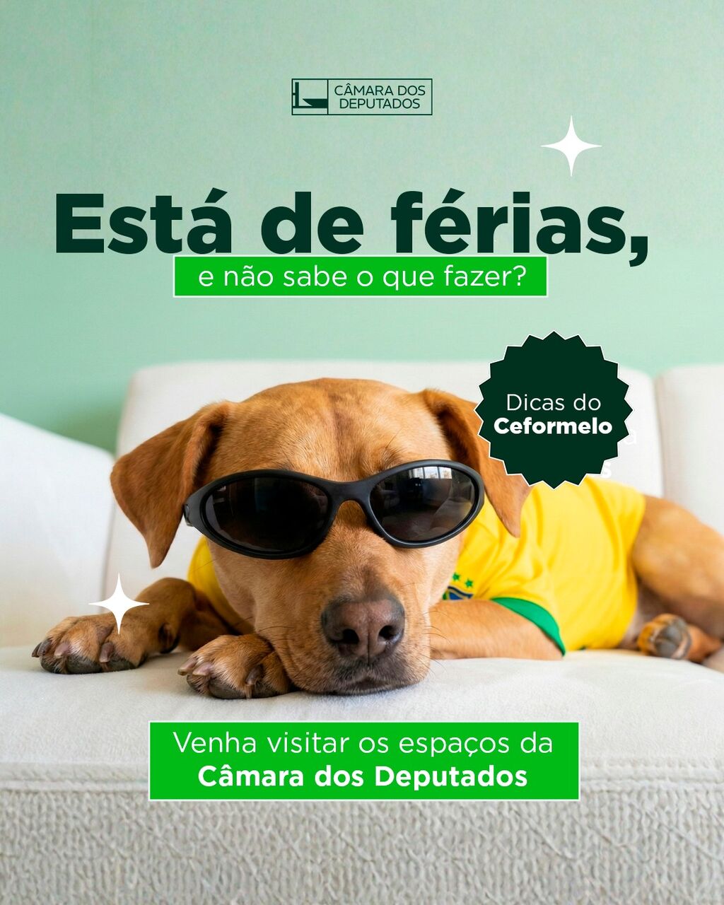 F&eacute;rias na C&acirc;mara