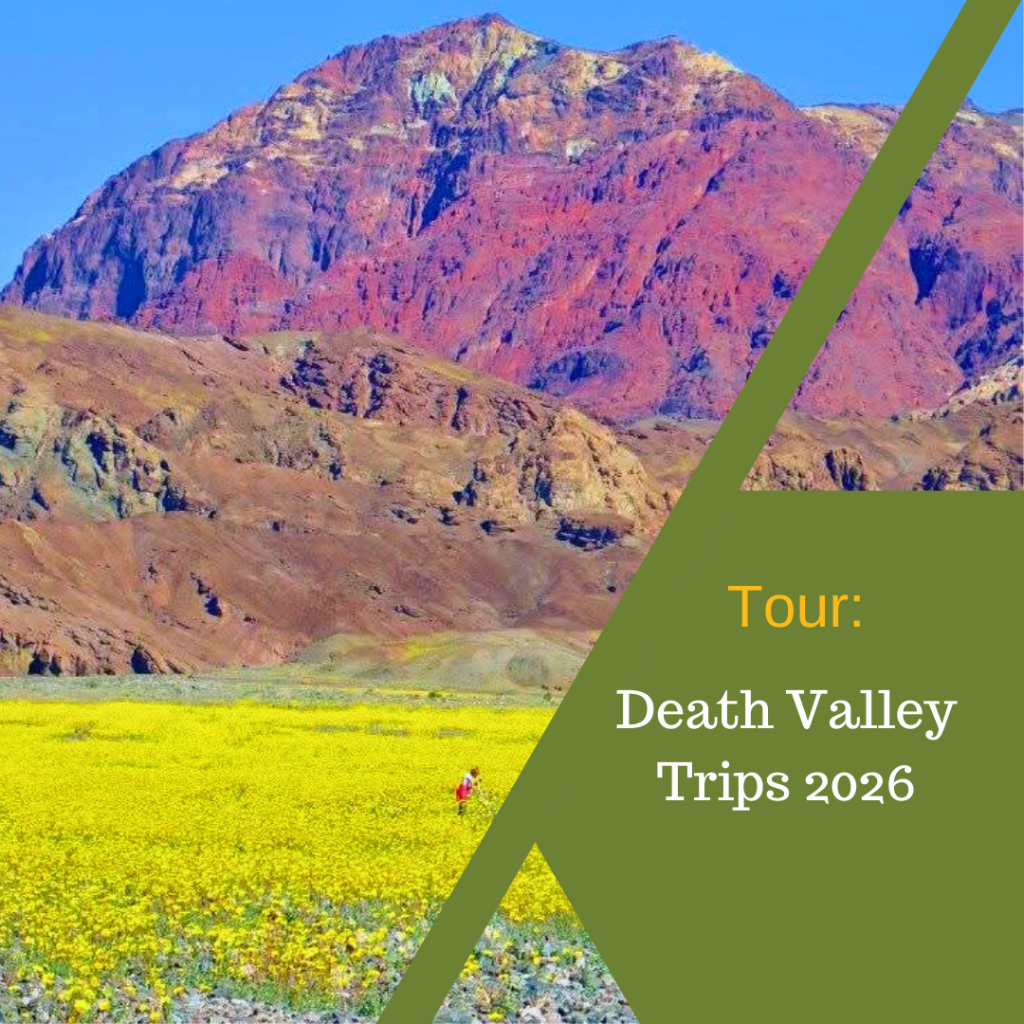 Death Valley Trips 2026