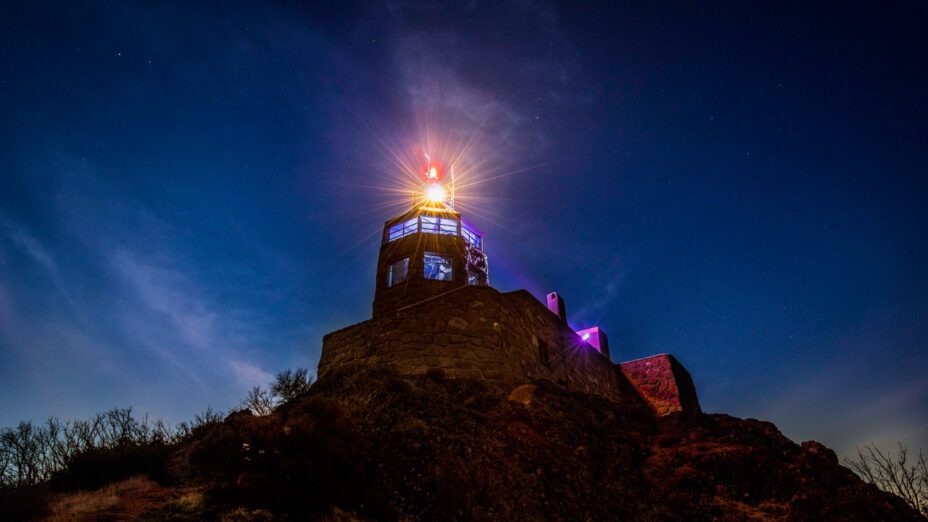 Make a Donation So We Can Keep Protecting Mount Diablo and the Diablo Range