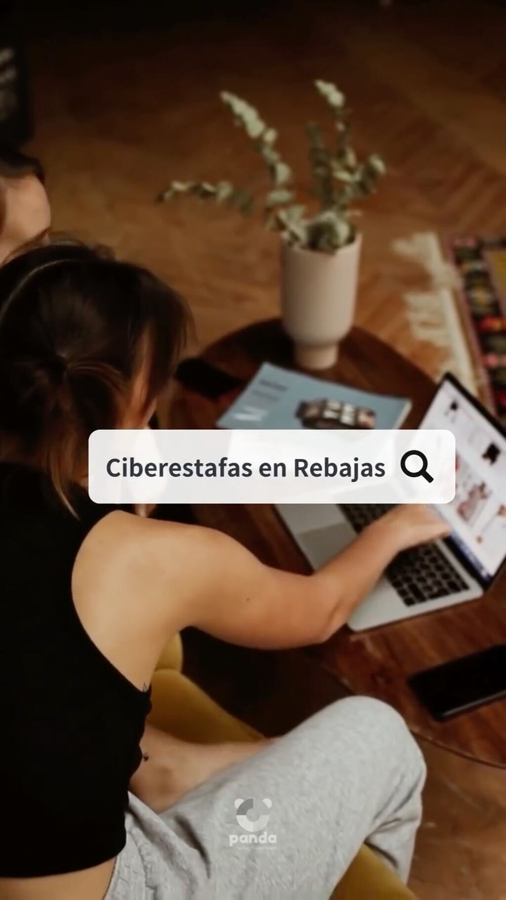 Ciberestafas en Rebajas