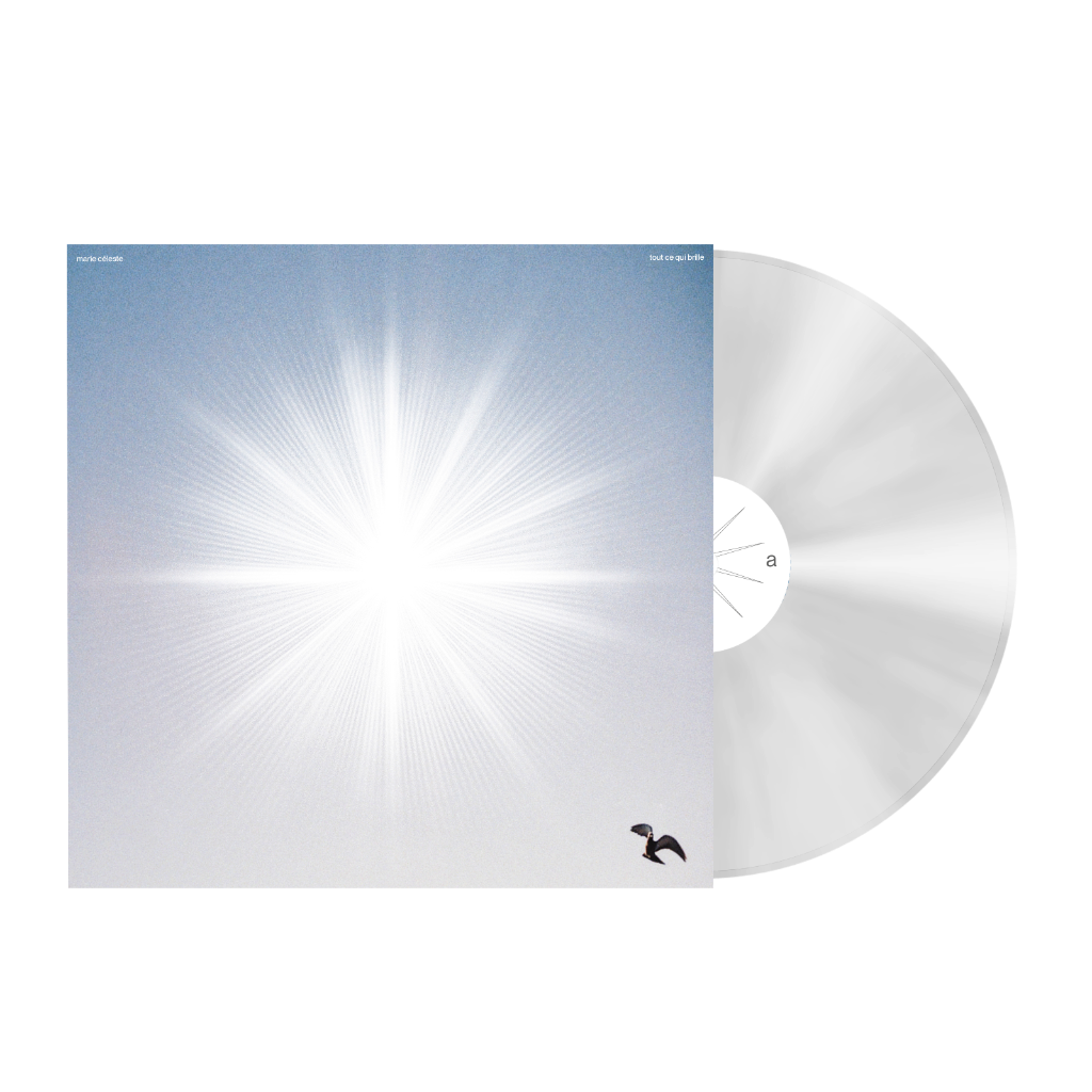 COMMANDER LES LP/CD DE &laquo; TOUT CE QUI BRILLE &raquo;