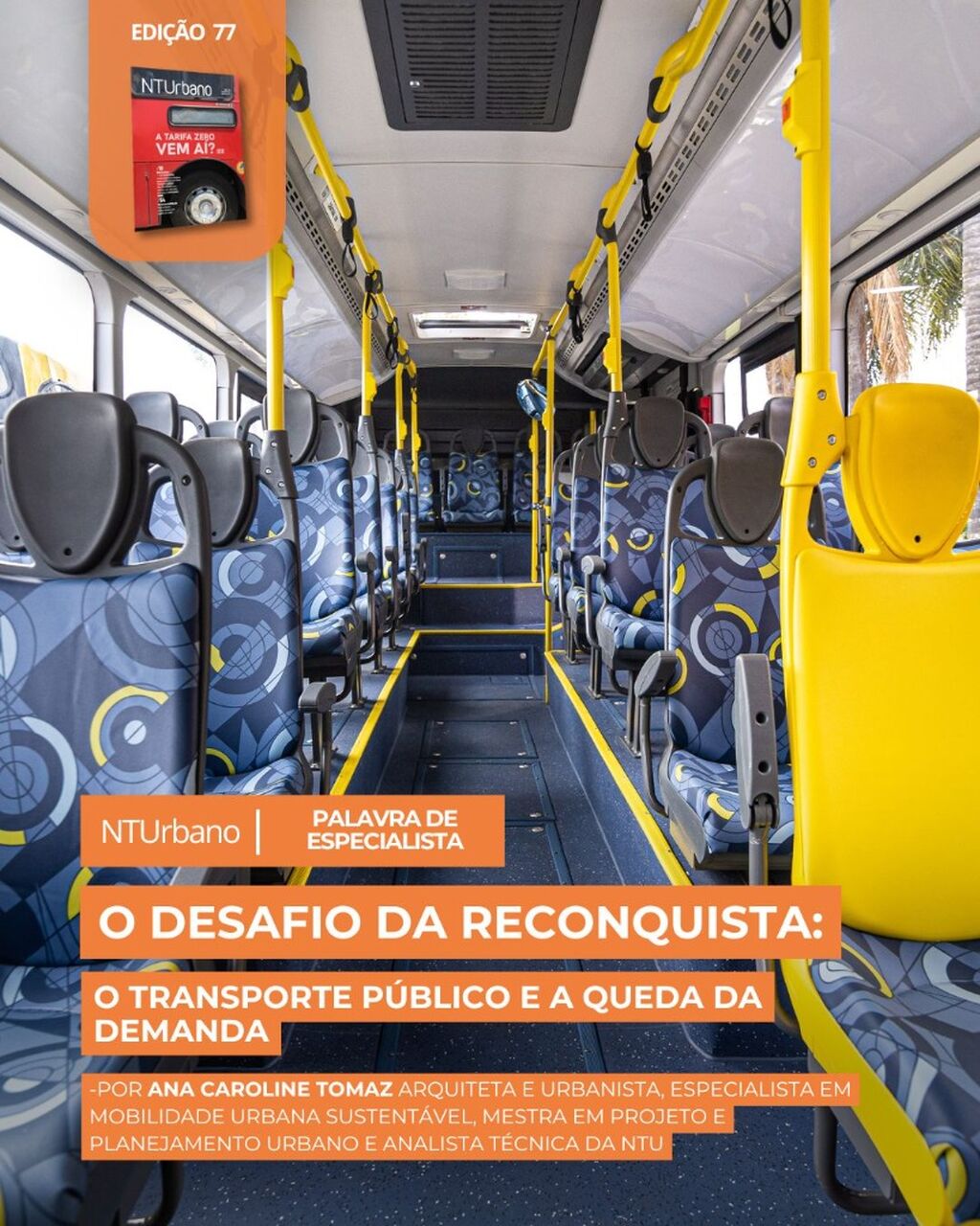 REVISTA 77 -PALAVRA DE ESPECIALISTA