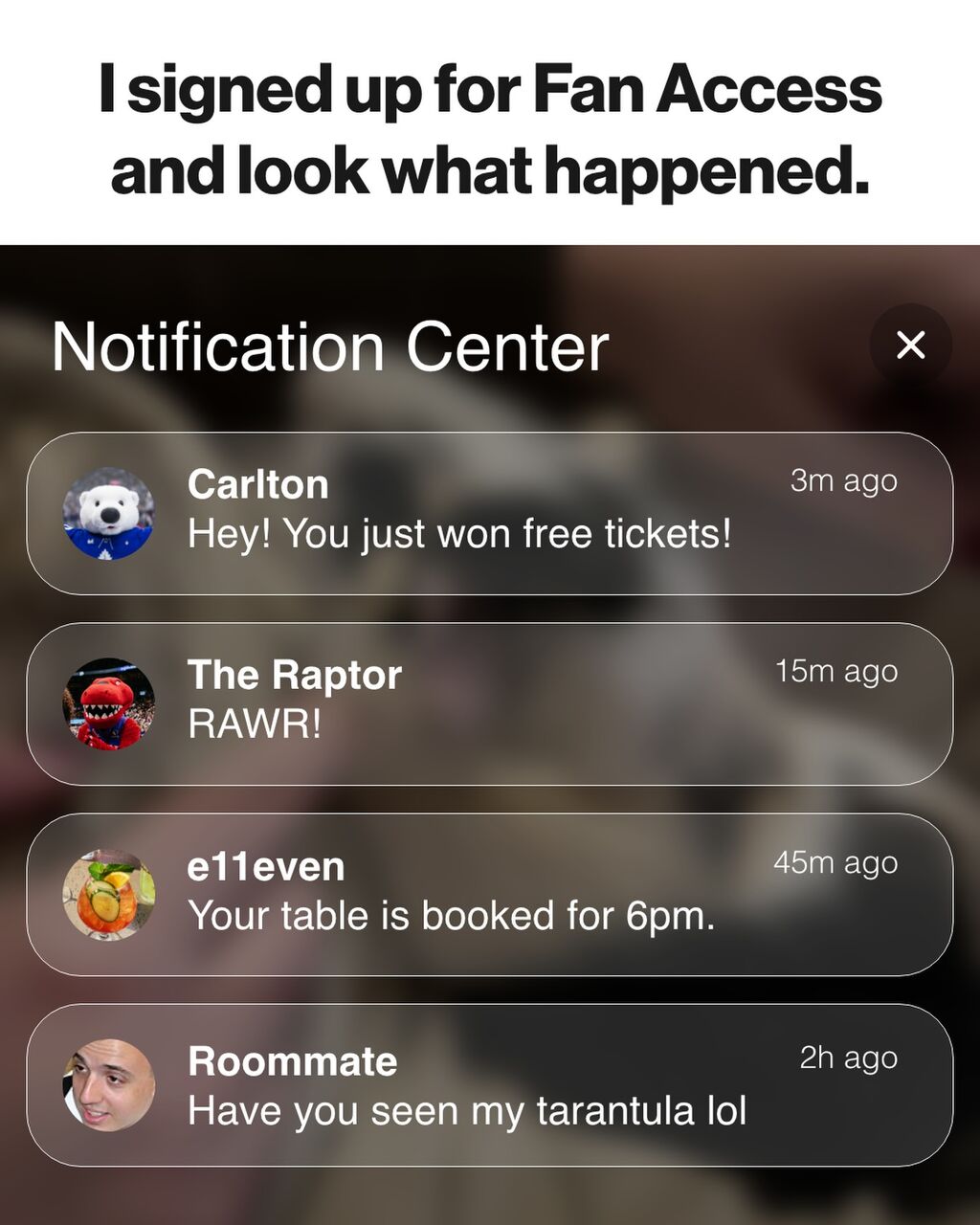 Leafs Fan Access