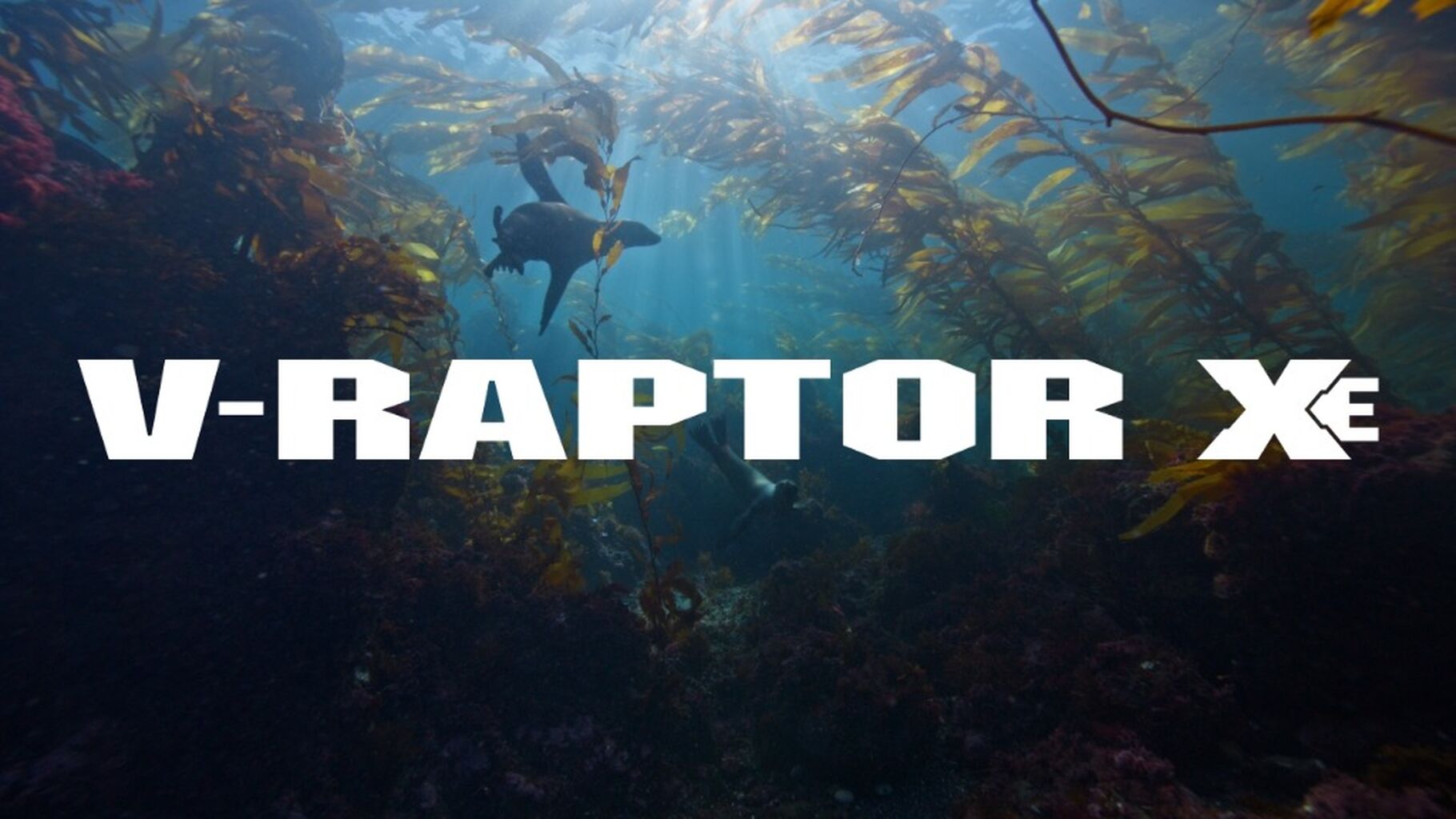 V-RAPTOR XE REEL