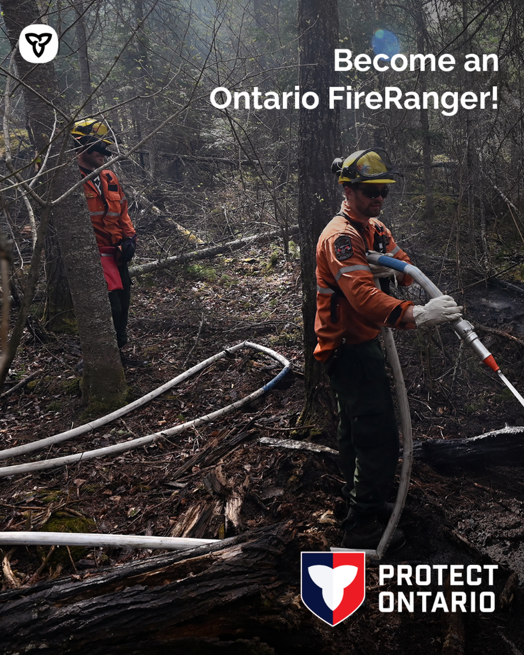 FireRanger Recruitment