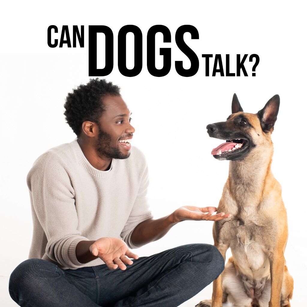 Can Dogs Talk? (CBC Gem)