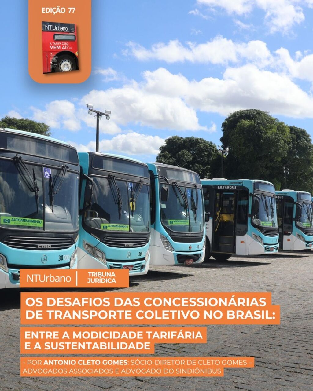 REVISTA 77 - TRIBUNA JUR&Iacute;DICA
