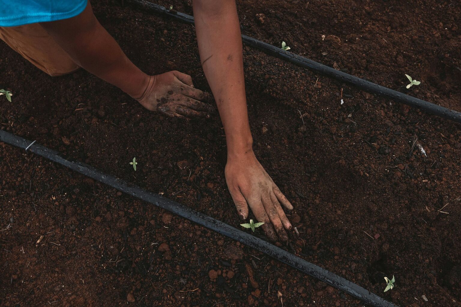 Caring for the earth is part of being a farmer &ndash; Farm Aid
