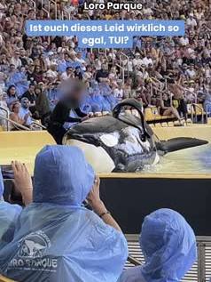 Petition TUI
