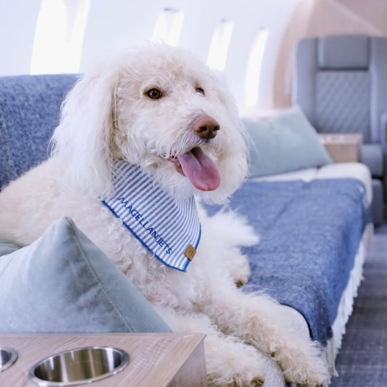Book On-Demand Private Jet Charters