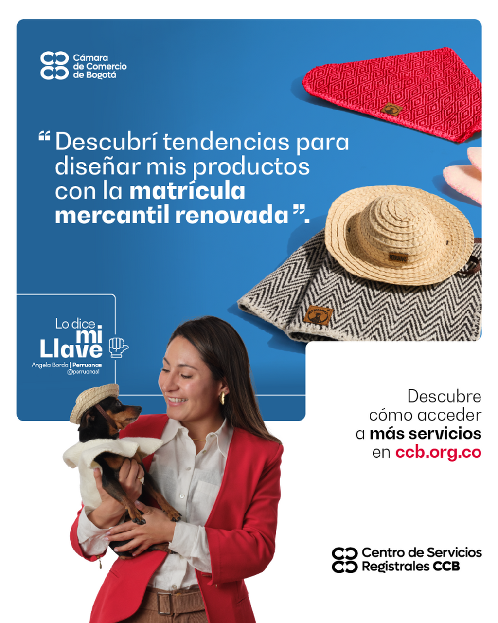 RENUEVA TU MATR&Iacute;CULA MERCANTIL 
