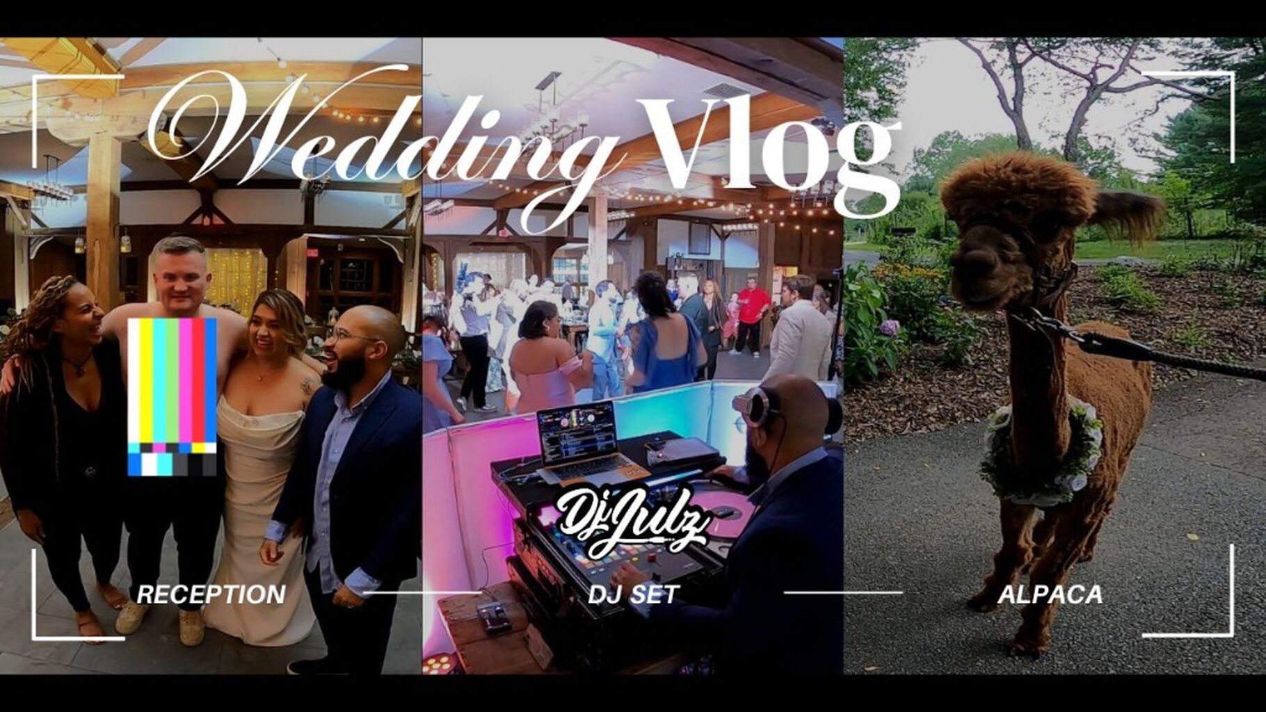 Wedding Vlog - Dj Julz (Colombian & American)