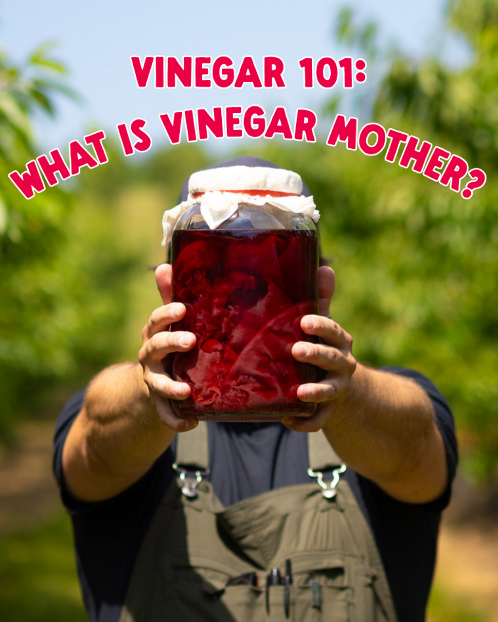 Vinegar 101: What is a vinegar mother?
