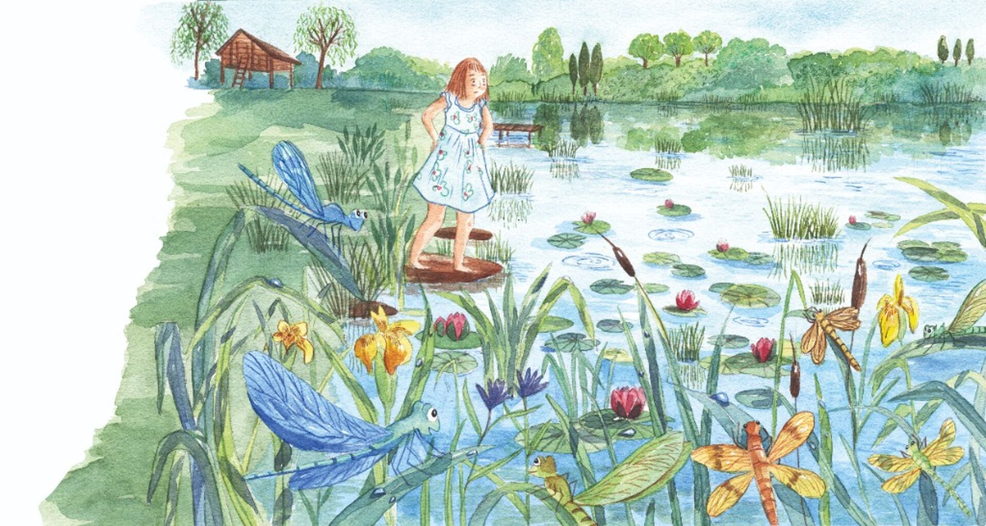 Demoiselle Isabelle : campagne Ulule