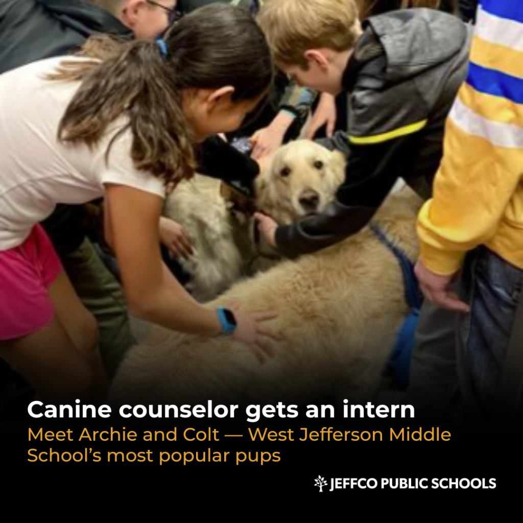 Canine Companions