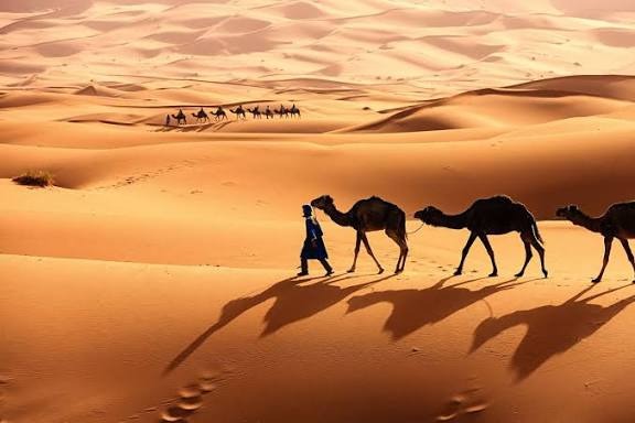 The Sahara Project