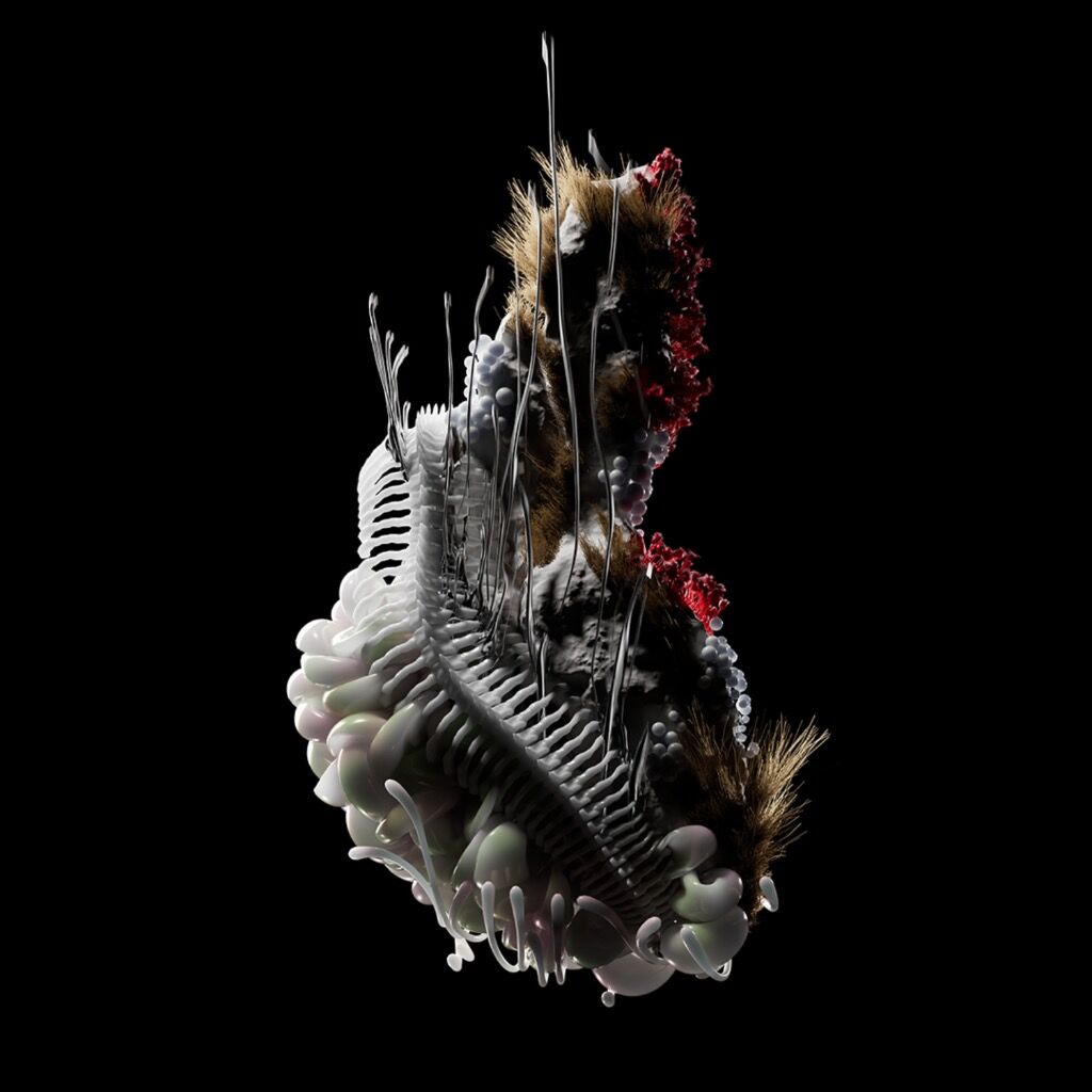 State of Latitude by Khrystyna Kirik on Bandcamp